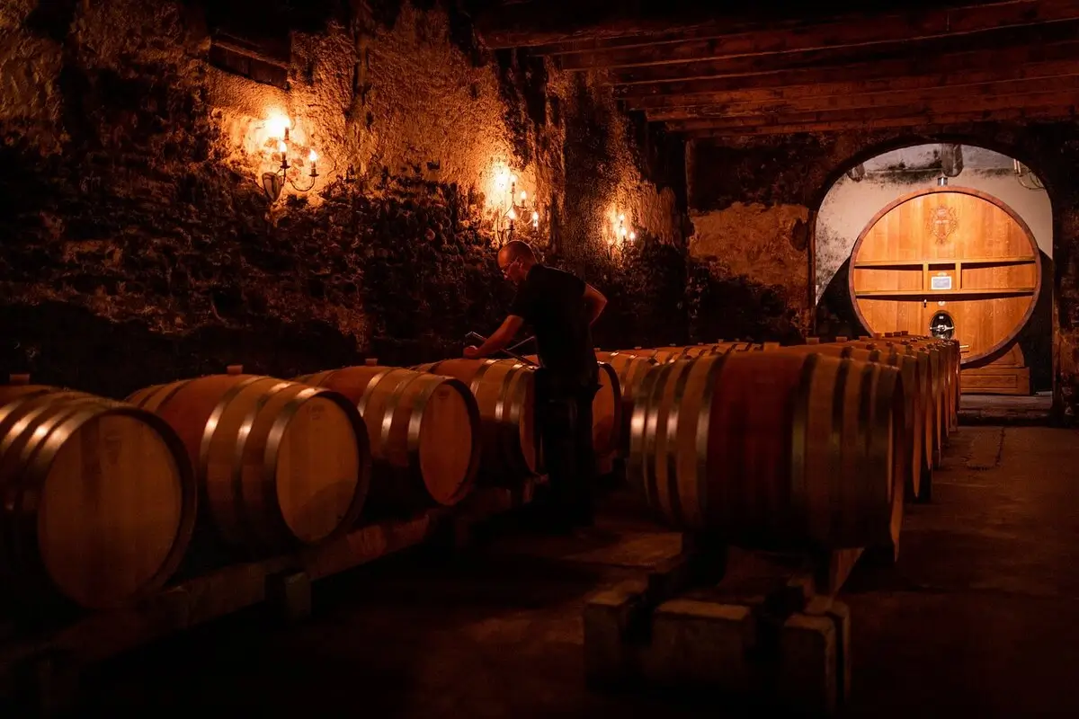 Chateau la Nerthe cellar