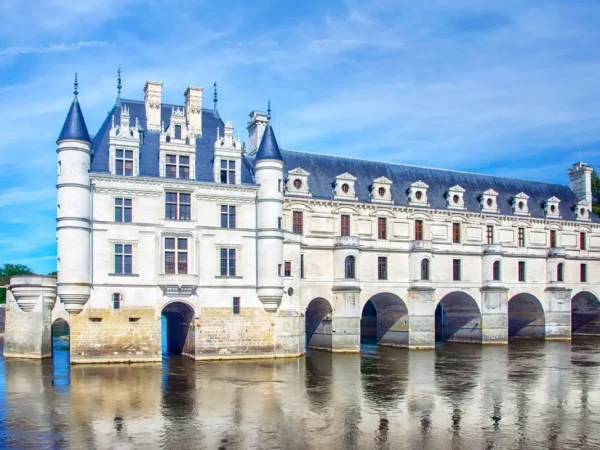 Full Day Loire Valley Castles Private Tour From Paris