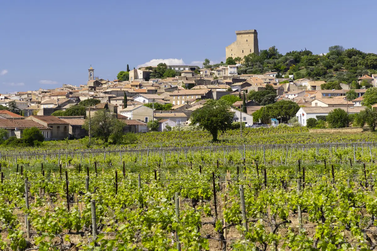 vineyards near Chateauneuf-du-Pape